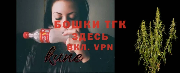 молекула духа Алексеевка