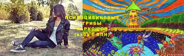 молекула духа Алексеевка