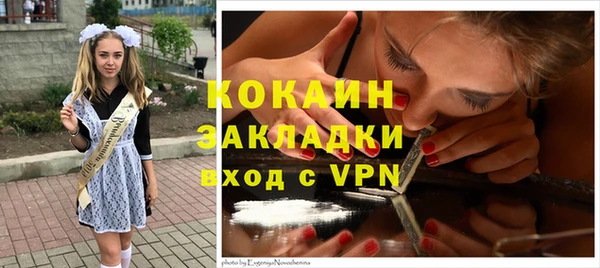 молекула духа Алексеевка