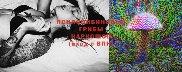 молекула духа Алексеевка