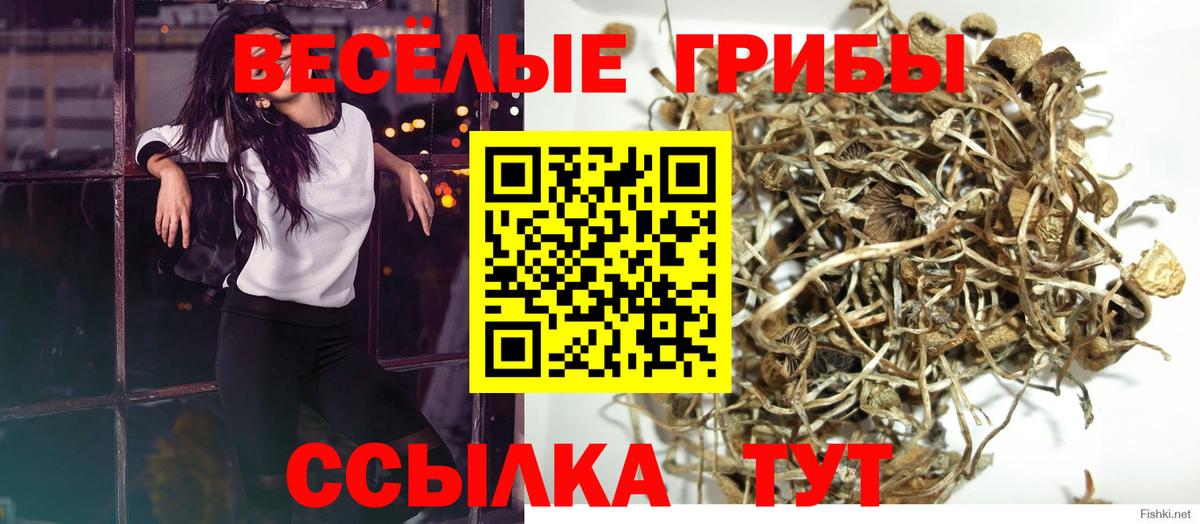 Псилоцибиновые грибы Psilocybe  Галлюциногенные грибы MAGIC MUSHROOMS  Вход с VPN  Югорск 